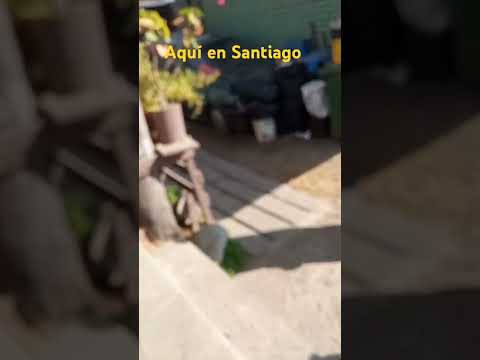 13 de julio de 2025