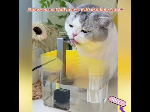Fresh Flowing Water: Boost Pet Hydration Effortlessly