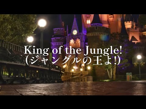 [歌詞和訳]「オー！サマー・バンザイ！」フィナーレ
