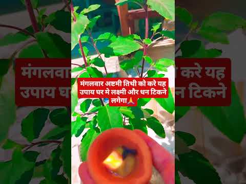 अष्टमी तिथि को करे यह उपाय घर मे धन टिकने लगेगा🙏🙏 #upay #hindufestival #indianfestival #goodmorning