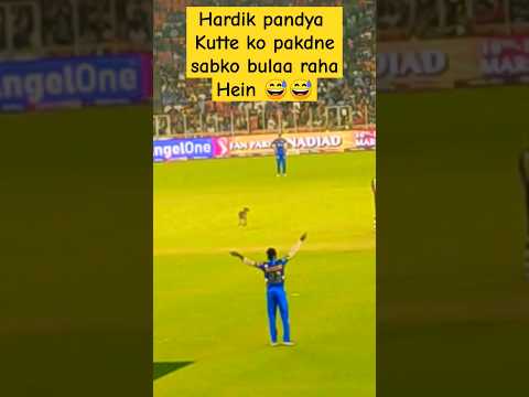 Hardik pandya B like : Sab log ground pe aa jao re 😅😅 #ipl2024 #kutta #ground