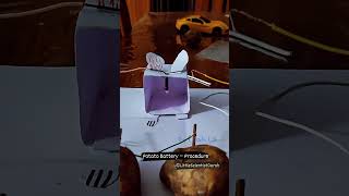 Potato battery | The Dad's Lab: Science Experiments for kids, fun with science