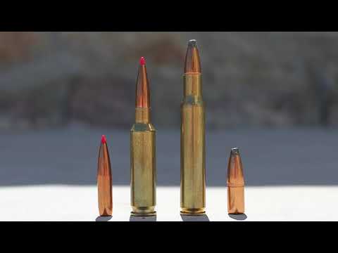 6.5 Creedmoor vs 30-06 Springfield: A Detailed Comparison & Analysis For Hunters