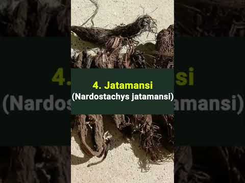 Ayurvedic Herbs For Insomnia #ayurvedictreatment #wellness #ayurvedicherbs #ayurvedichaircare
