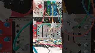 The joy of Eurorack #eurorackmodular #synth #modularsynth