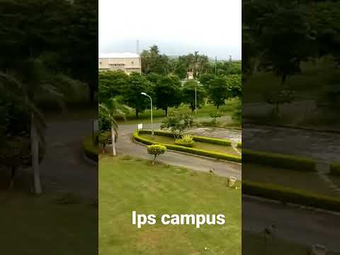 ips gwalior college||ips college gwalior campus