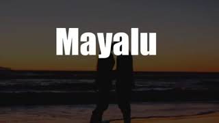 Mayalu (Lyrics) - Vek X Yabesh Thapa - classx presentation
