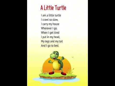 Poems for kids | I am a turtle #kidsselflove #kidsvideos #familyfriendly #iamspecial #kidspoetry
