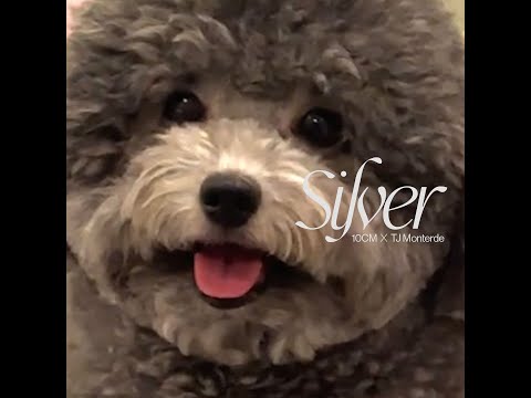 SILVER - 10CM x TJ Monterde | OFFICIAL MUSIC VIDEO