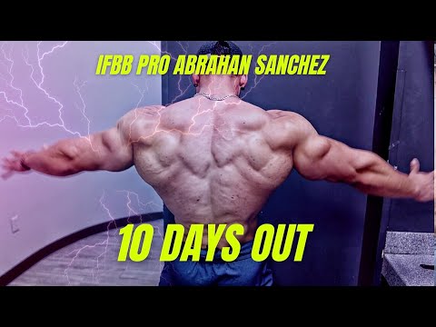 IFBB Pro Abrahan Sanchez | Back Workout plus Chiropractic Session