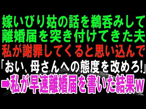 【スカッとする話】嫁いびりをしてくる姑の話を鵜呑みにし離婚届を突きつけてきた夫。私が謝罪すると思い込み「母さんへの態度、改めろ！」私は早速離婚届にサインをして夫に突きつけて復讐してやって修羅場に