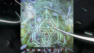 Leng Lewn - 'Furious Hindsight' (PREVIEW) NUMINOUS compilation OUT NOW on Grand Alliance Music