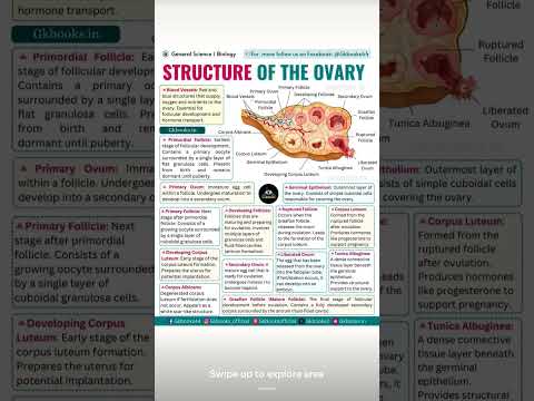 #biology #medicaleducation #medicalterms#successfullife #subscribemychannel