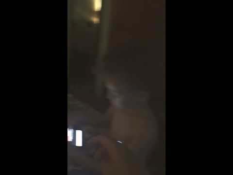 MAJOR AFTER WATCHING THE TRAVIS SCOTT LIVE EVENT ON FORTNITE !