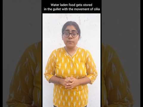 Biology Quick Revision:Biological Classification:Ciliated Protozoans:Kingdom Protista #shorts