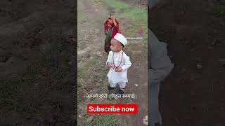 pandharichi wari