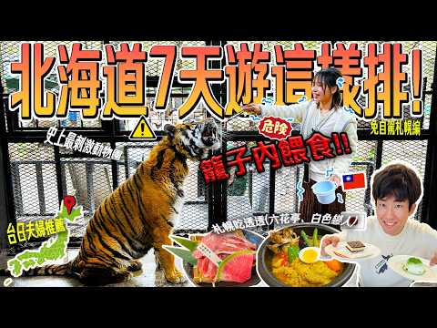 【日本人帶你北海道自由行3】札幌無自駕也可以這樣玩！超刺激危險動物園、六花亭、白色戀人公園