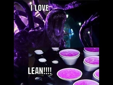 [MEME ORIGIN]  I Love Lean!!!