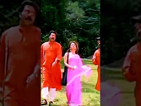 ponnambal puzhayirambil song | love song status | #mammootty #mohanlal #juhichawla #harikrishnans