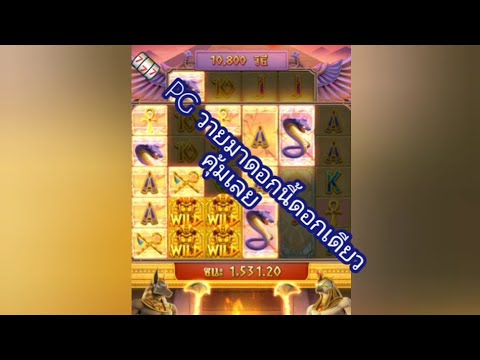🎰  PG Egypt's Book of Mysteryวายมาดอกนี้ดอกเดียวคุ้มเลย