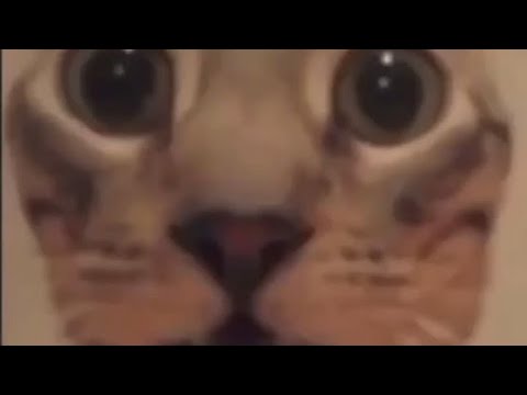 I don’t know