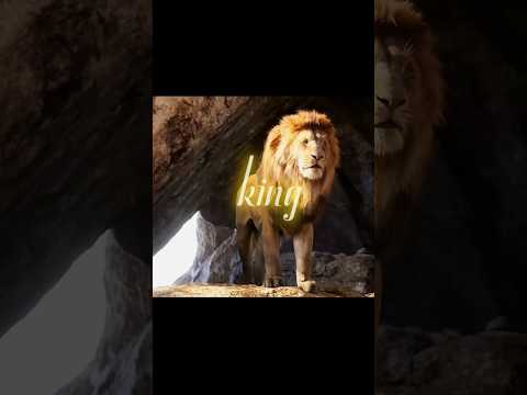 Simba the lion King | Memory Reboot (Slowed) | #movie #lionking #edit #viral