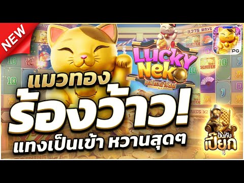 รีวิว แมวทองแตกจริงมั้ย | สล็อตแตกง่าย สล็อตแตกง่ายล่าสุด เว็บสล็อตแตกง่าย