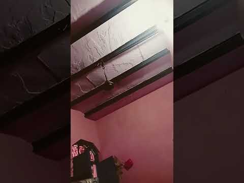 jogi song #funny #song #shorts