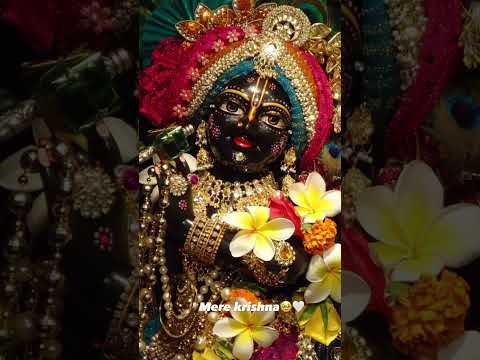 Jai shree krishna #viral #krishna #radhakrishna #radheradhe