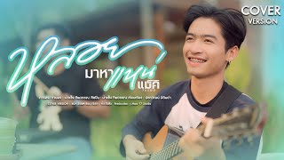 หลอยมาหาแหน่ - แม็ค วัชรพล【COVER VERSION】