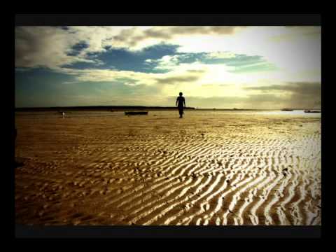 The Eels - Fresh Feeling