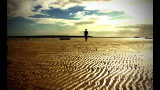 The Eels - Fresh Feeling