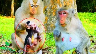 OMG Jazzy Baby Was Pulled Hair & Hangs On & Dropped By Tereza Monkey Make Jane Hurt In Heart So Much