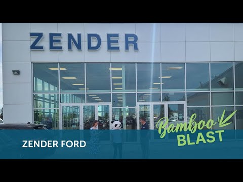 Bamboo Blast Zender Ford