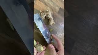 Growing ginger #shorts #shortsfeed #courtyardgarden #shortsvideo #gardening #simpletricks
