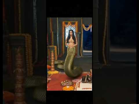 naagin 6 half snake walking #naagin7 #vfx #colourstv @handbasket-tv