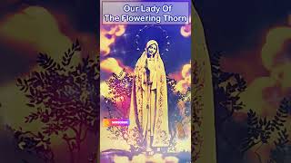 Our Lady of the Flowering Thorn 🌹🌿🙏 #OurLady #FloweringThorn #DivineBlessings"
