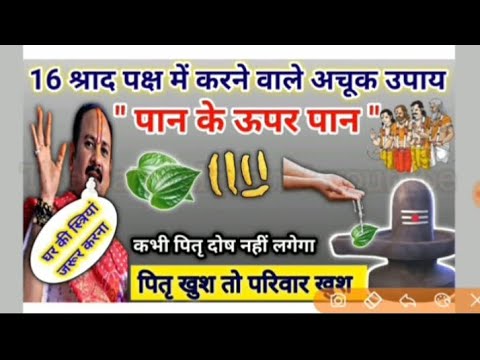 2 अक्टूबर पितृ पक्ष का पहला सोमवार| पितृ दोष निवारण विधि| pitra paksh ke upay pradeep Mishra ji