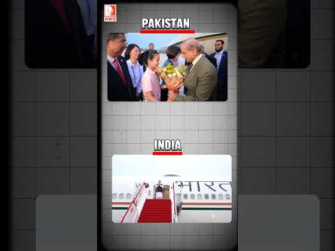 Modi vs Shehbaz: Who Got the Warmer Welcome in China? 🇨🇳🔥