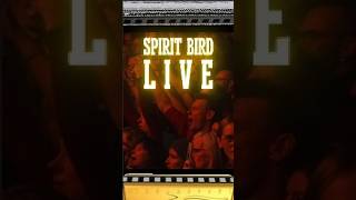 SPIRIT BIRD - Xavier Rudd - Slowly it Fades #harmonicaplayer
