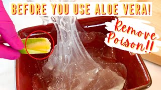 How To Remove POISON From Aloe Vera Gel...Natural Hair Growth DIY