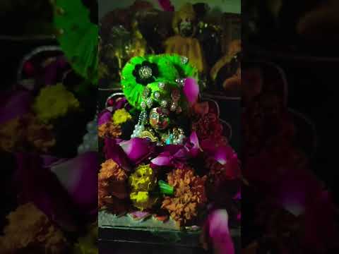 #holi #laddugopalstatus #krishna #harekrishna #iskcon #krishnabhajan