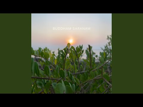 Buddham Saranam Gachhami (feat. Kamakshi Khanna)
