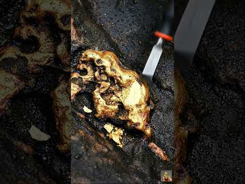 Gold Quartz 🪙😮 #GoldRush #fyp #viral #golddiscovery #quartz #treasure #explore #lifestyle #gold