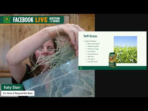 What Type of Hay Should I Feed My Horse? - Horse Nutrition Live Q & A w/ Dr. Tania Cubitt