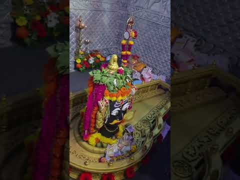 🌸 गणपती बाप्पा मोरया 🙏 ईच्छापूर्ती गणेश मंडळात आरतीचा सोहळा २०२५ 🔱