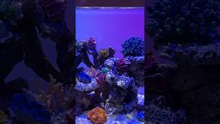 モゾワンダーシティー（UNDER WATER SPACE）アンダーウォータースペース