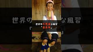 世界の不思議な風習「首長族」 #shorts #雑学 #不幸な話 #仰天ニュース #事件 #事故 #面白い話 #世にも奇妙な物語 #ニュース #仰天 #驚きの #速報 #信じられない #トレンド