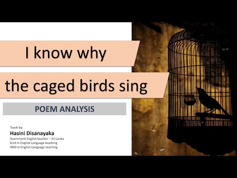 Why Caged Bird is a Poem about Freedom, not Imprisonment