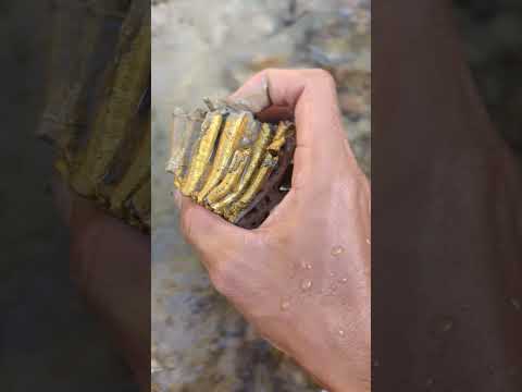 m wow valuable gold discovery #goldhunter